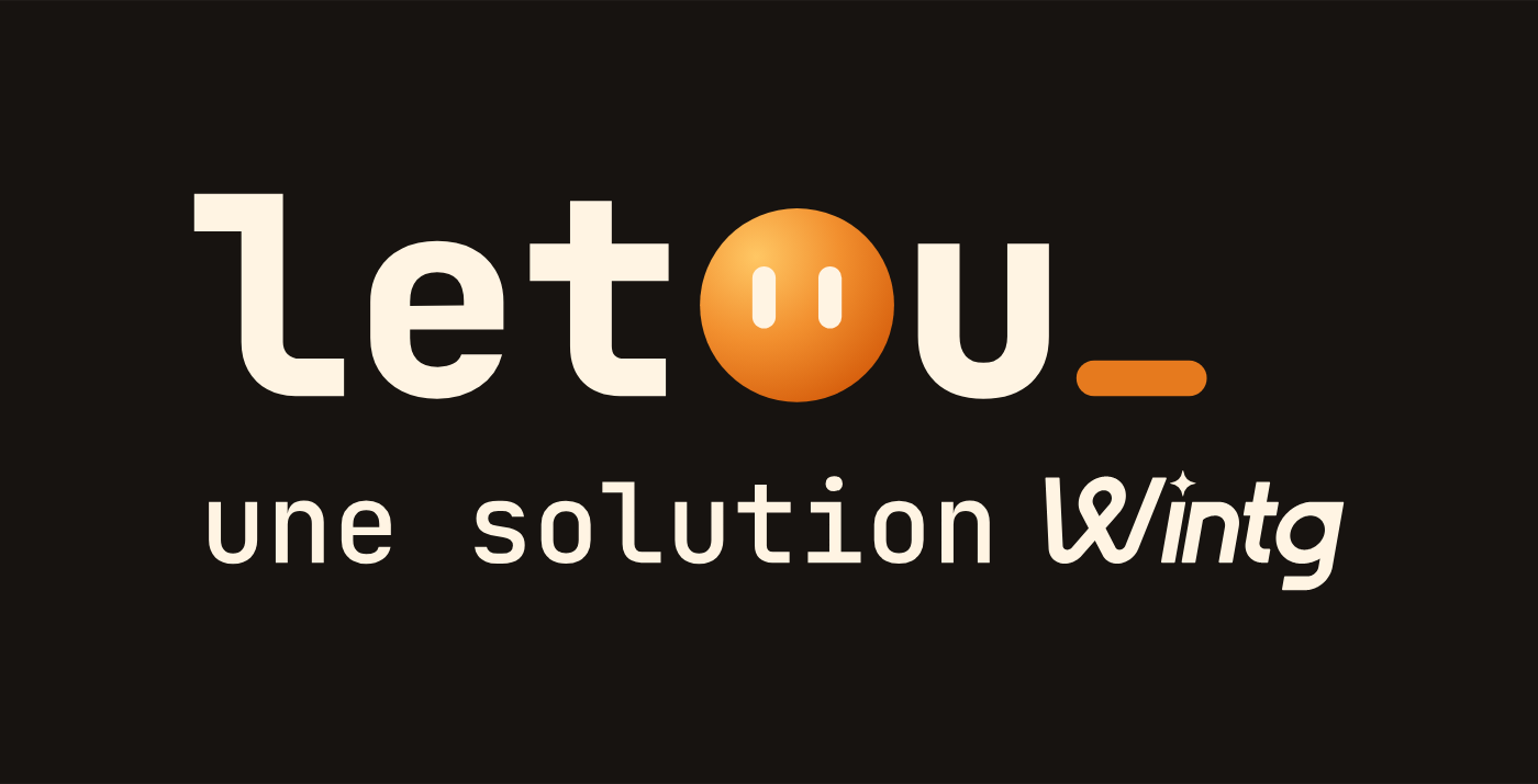 Apercus letou une solution wintg sombre